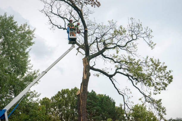 Soil Testing and Treatment in Lansdale, PA
